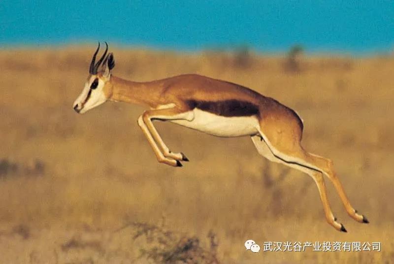 微信图片_20191121193001.jpg